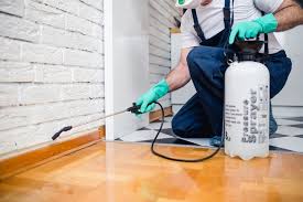 Real Estate Pest Inspections in Lemoore Station, CA